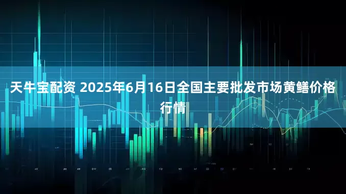 天牛宝配资 2025年6月16日全国主要批发市场黄鳝价格行情